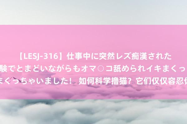 【LESJ-316】仕事中に突然レズ痴漢された私（ノンケ）初めての経験でとまどいながらもオマ○コ舐められイキまくっちゃいました！ 如何科学撸猫？它们仅仅容忍你汉典，尊重最勤奋