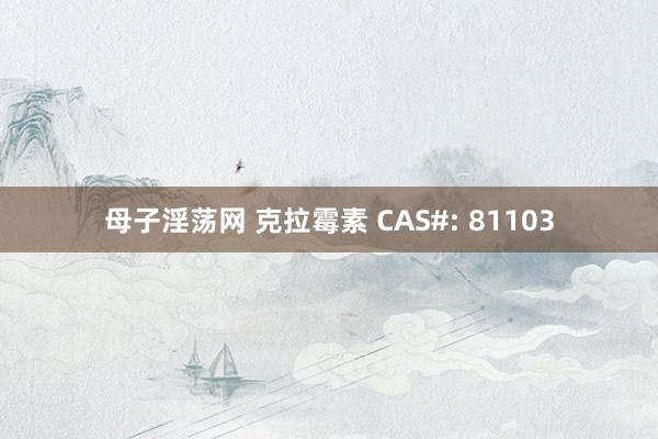 母子淫荡网 克拉霉素 CAS#: 81103