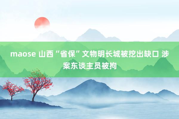 maose 山西“省保”文物明长城被挖出缺口 涉案东谈主员被拘