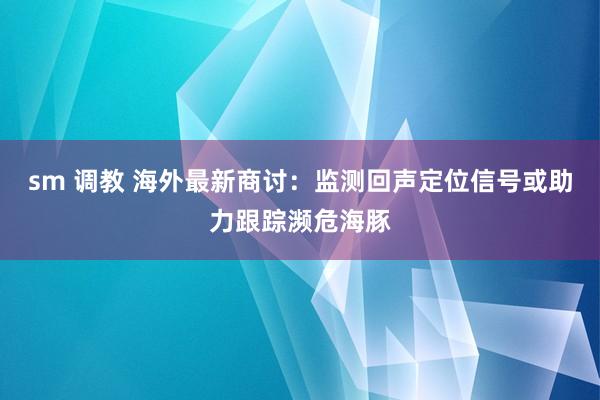 sm 调教 海外最新商讨：监测回声定位信号或助力跟踪濒危海豚