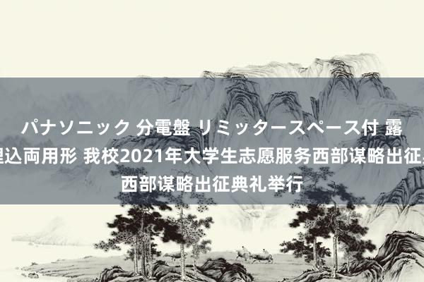 パナソニック 分電盤 リミッタースペース付 露出・半埋込両用形 我校2021年大学生志愿服务西部谋略出征典礼举行