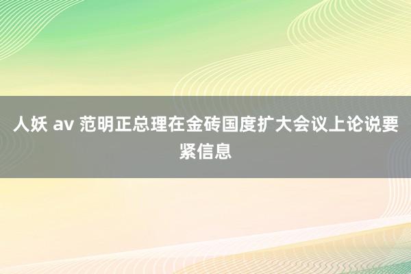 人妖 av 范明正总理在金砖国度扩大会议上论说要紧信息