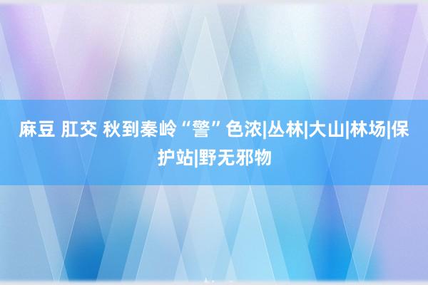 麻豆 肛交 秋到秦岭“警”色浓|丛林|大山|林场|保护站|野无邪物