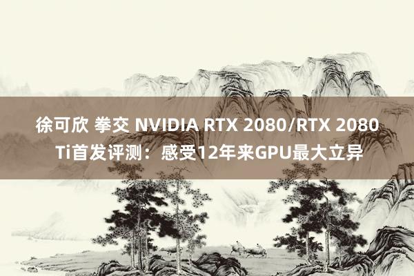 徐可欣 拳交 NVIDIA RTX 2080/RTX 2080 Ti首发评测：感受12年来GPU最大立异