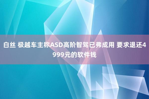 白丝 极越车主称ASD高阶智驾已弗成用 要求退还4999元的软件钱