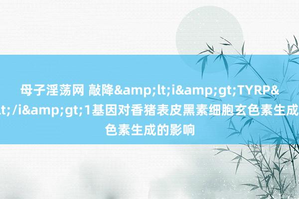 母子淫荡网 敲降&lt;i&gt;TYRP&lt;/i&gt;1基因对香猪表皮黑素细胞玄色素生成的影响